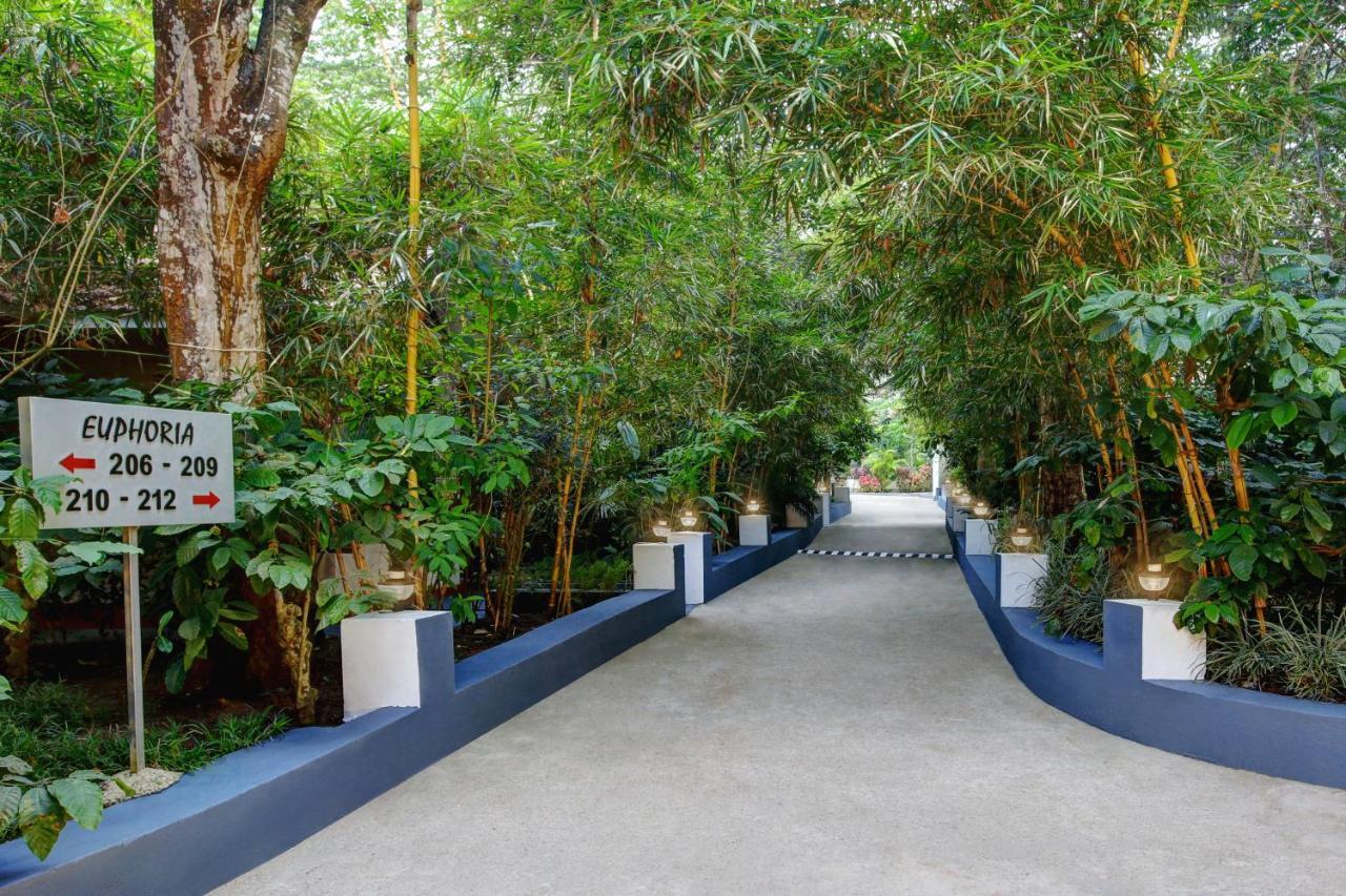 Paddington Resorts y Spa Kushālnagar Exterior foto